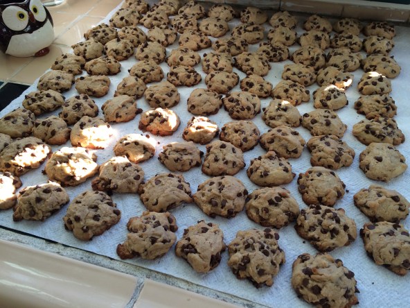 plaidypus orange chocolate chip cookie recipe