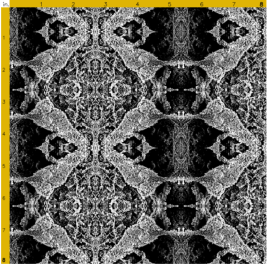 black and white hippocampal pyramidal neuron scanning electron microscopy plaidypus